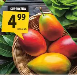 Arhelan Mango oferta