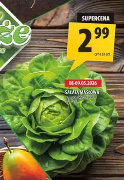 Arhelan Sałata masłowa kraj pochodzenia Polska oferta