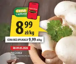 Arhelan Pieczarka kraj pochodzenia Polska oferta