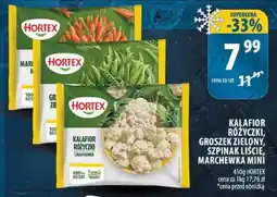 Arhelan Marchewka Mini Hortex oferta