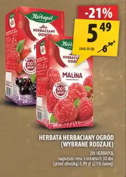 Arhelan Herbata Herbaciany Ogród Herbapol oferta