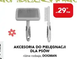AquaelZOO Akcesoria do pielęgnacji dla psów Dogman oferta