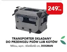AquaelZOO Transporter składany do przewozu psów lub kotów Dogman Millou 60x42x42cm oferta