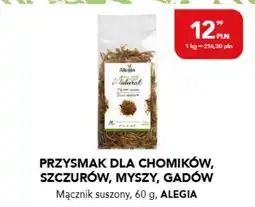 AquaelZOO Przysmak dla chomików szczurów myszy gadów Mącznik suszony Alegia oferta