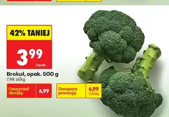 Biedronka Brokuł oferta