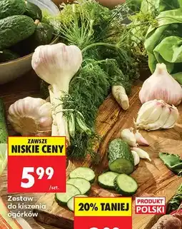 Biedronka Zestaw do kiszenia ogórków oferta