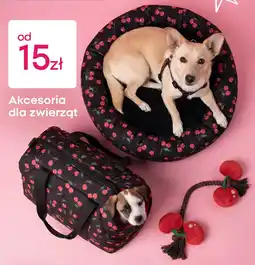 Pepco Akcesoria dla zwierząt oferta