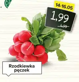 Spiżarnia Smakosza Rzodkiewka pęczek oferta