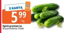 E.Leclerc Ogórki gruntowe luz oferta