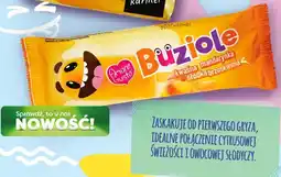 Polomarket Lody Amore Gusto Buziole kwaśna mandarynka słodka brzoskwinia oferta