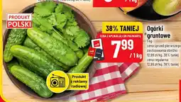 Polomarket Ogórki gruntowe oferta