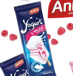 Polomarket Anita Yogurt oferta