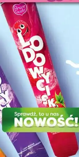 Polomarket Lody Lodo Wycisk Amore Gusto malinowe oferta