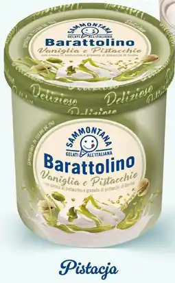 Polomarket Sammontana Barattolino Pistacja oferta