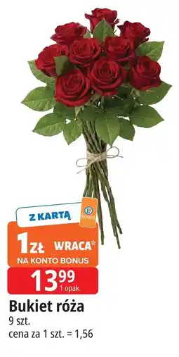 E.Leclerc Bukiet róża oferta