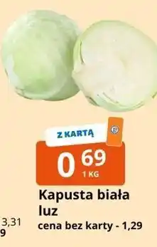 E.Leclerc Kapusta biała luz oferta