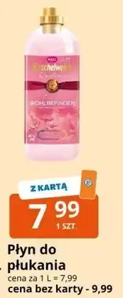 E.Leclerc Płyn do płukania oferta