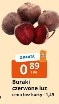 E.Leclerc Buraki czerwone luz oferta