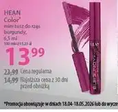 Hebe mini tusz do rzęs burgundy oferta