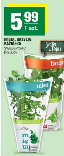 EuroSPAR Bazylia Swedeponic oferta