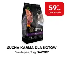 AquaelZOO Karma dla kota Savory oferta