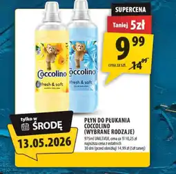 Arhelan Płyn do płukania Coccolino oferta