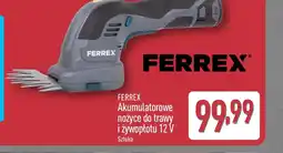 ALDI Nożyce do trawy Ferrex oferta