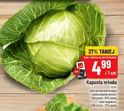 Polomarket Kapusta młoda oferta
