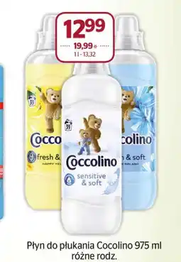 Społem Płyn do płukania Coccolino oferta