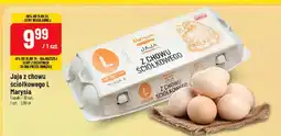 Polomarket Jaja z chowu ściółkowego L Marysia oferta