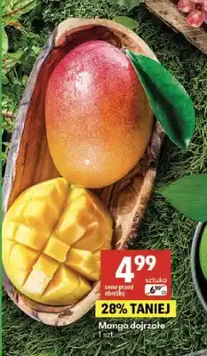 Delikatesy Centrum Mango dojrzałe oferta