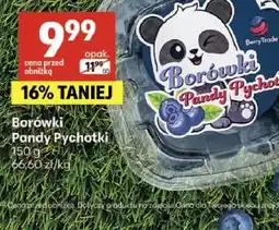 Delikatesy Centrum Borówki Pandy Pychotki Berry Trade oferta