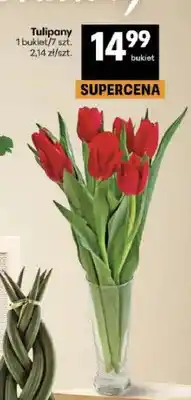 Delikatesy Centrum Tulipany bukiet 7szt oferta