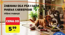 Carrefour Zabawki dla psa i kota Carrefour oferta