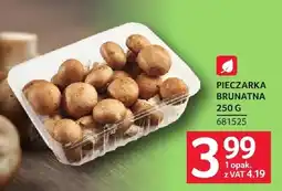 Selgros Pieczarka brunatna oferta
