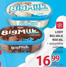 Selgros Big Milk Lody oferta