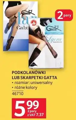 Selgros Podkolanówki lub Skarpetki Gatta oferta