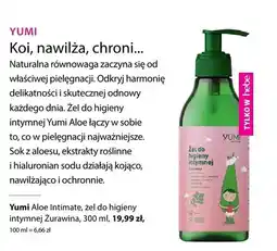 Hebe Żel do higieny intymnej Yumi Aloe Intimate Żurawina oferta