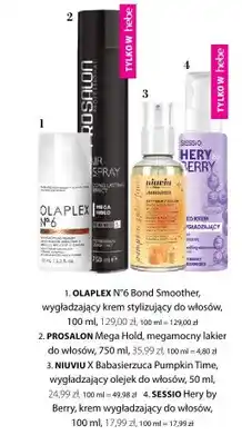 Hebe Krem do włosów wygładzający Sessio Hery by Berry oferta
