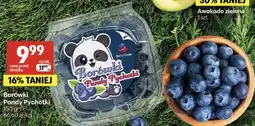 Delikatesy Centrum Borówki Pandy Pychotki oferta