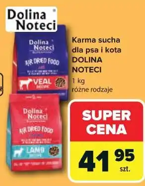 Karma sucha dla psa i kota DOLINA NOTECI