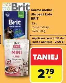 Carrefour Market Karma mokra dla psa i kota BRIT oferta