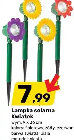 Bricomarche Lampka solarna Kwiatek oferta