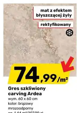 Bricomarche Gres szkliwiony carving Ardea oferta