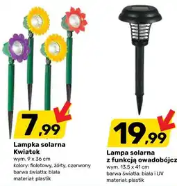 Bricomarche Lampa solarna z funkcją owadobójczą oferta