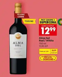 Biedronka Alma Sol Red / White oferta