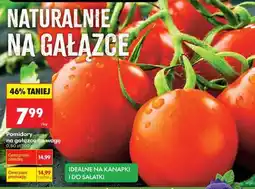 Biedronka POMIDORY NA GAŁĄZCE NA WAGĘ oferta