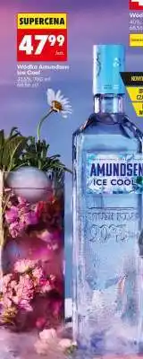Biedronka Wódka Amundsen Ice Cool oferta