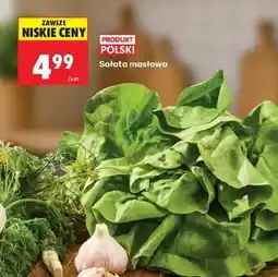 Biedronka Sałata masłowa oferta