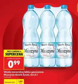 Biedronka Muszyna Skarb Życia, 6x1,5 l oferta